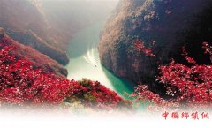 <b>红叶漫山景满城 此去巫山好映像</b>