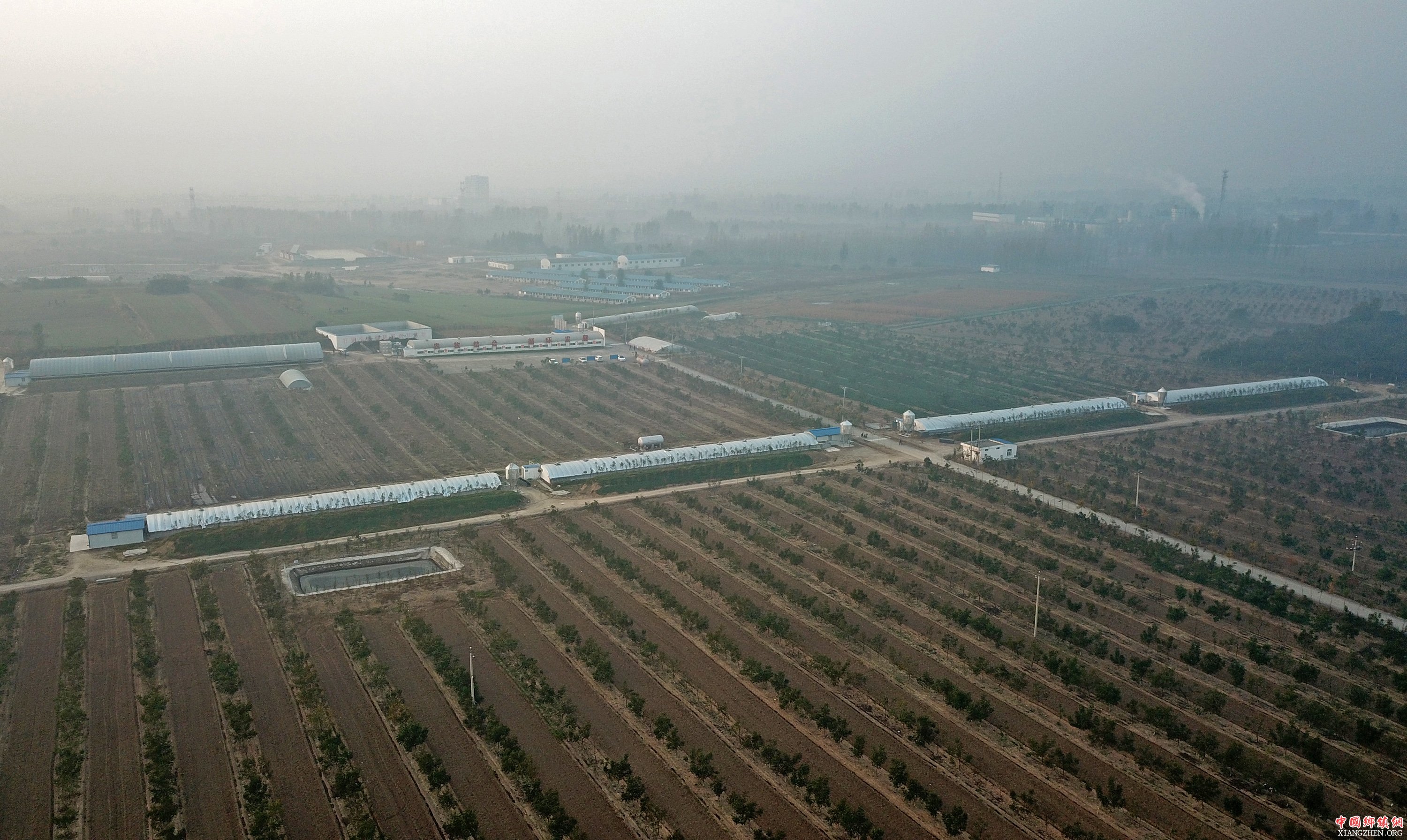 这是位于平顶山市的河南康龙集团“百亩千头生态方”种养结合生态循环发展示范区。新华社记者 李鑫 摄