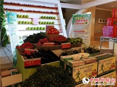 <b>湖南澧县：品牌农业开启县域经济新篇章</b>