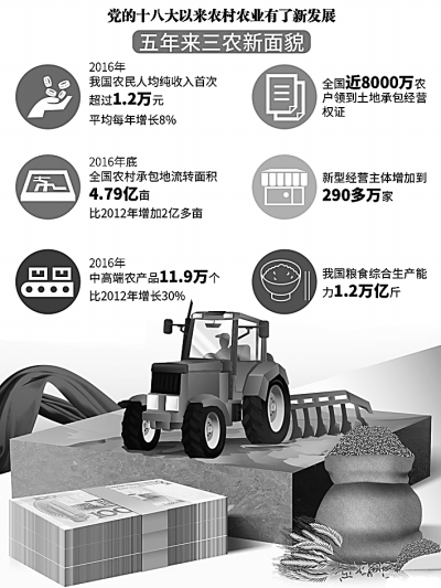 乡村振兴战略：农村发展新蓝图