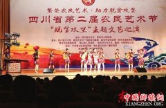 <b>四川省第二届农民艺术节主题文艺巡演在营山举行</b>