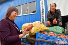 <b>江西余江：产销联动推特色 助力扶贫拓渠道</b>