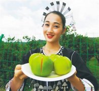 <b>为“琼中绿橙”品牌保驾护航</b>