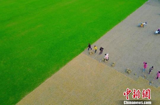 探访江苏如皋特色田园乡村：处处是风景 花木富村民