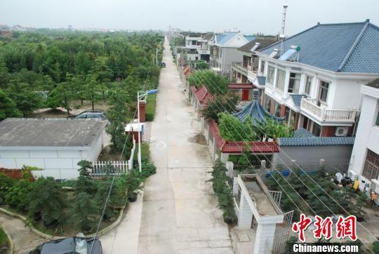 探访江苏如皋特色田园乡村：处处是风景 花木富村民