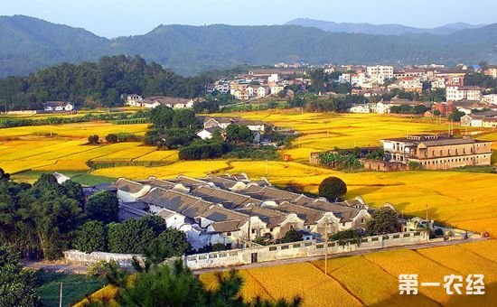 农村新政策为新时代“三农”发展指明了具体路径