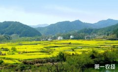 <b>农村新政策为新时代“三农”发展指明了具体路径</b>