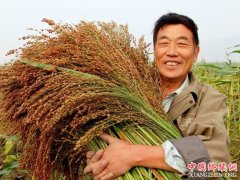 <b>农业部部长韩长赋：再谈“三权”分置</b>