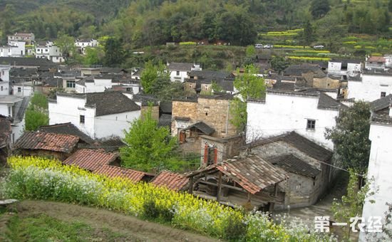 农业部农村经济研究中心举办“乡村振兴大家谈”活动