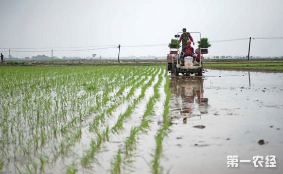 农业种植合作社以及农村合作社补贴政策都有哪些？