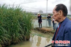 <b>袁隆平：中国“超级稻”既有“超级量”也有“超级质”</b>