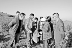 <b>贵州：威宁苦荞新品种亩产370斤</b>