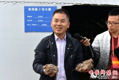 <b>农业专家邓禄军：倡导循环经济 实现农民增收</b>