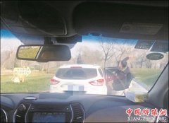 <b>动物园“砸熊”游客认错：没人管就觉很安全</b>