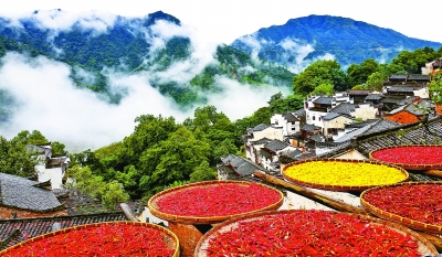 村在绿中 家在林中 人在画中