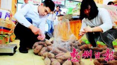 <b>惠州：绿色农业唱大戏 特色产品美名扬</b>