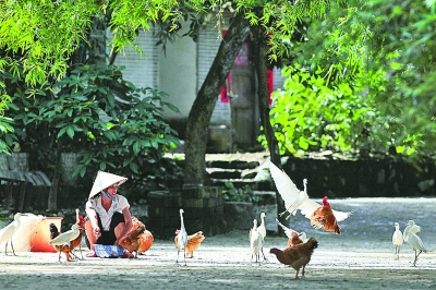 广西实施“美丽广西”乡村建设活动探寻乡村振兴新路径