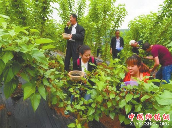 图片默认标题_fororder_1