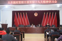 <b>四川宜宾：大井镇组织村常职干部学习党的十九大精神</b>