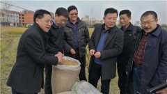 <b>湖北：籼粳杂交稻再生季优势明显</b>