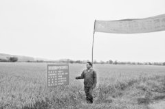 <b>灾年缘何还能丰产增收？</b>