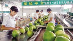 <b>广东梅州精心推行“三位一体”特色农业品牌战略</b>