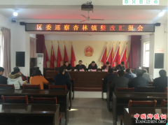 <b>渭南市华州区杏林镇召开区委巡察整改汇报会</b>