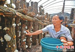 <b>广元利州区脱贫“摘帽”描绘乡村振兴画卷</b>