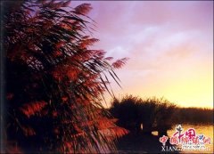 <b>宁夏：沙湖旅游开展卓越绩效干部培训工作</b>