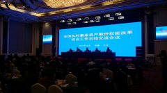 <b>农村集体产权制度改革试点县明年增加到300个</b>