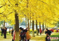 <b>四川铁腕治霾 将在污染形成前做出预警提示</b>