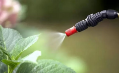 <b>农业部公告：5年内中国将禁用全部高毒农药</b>