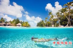 <b>马尔代夫获全球最佳潜水目的地</b>