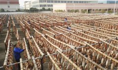 <b>浙江：冬晒火腿正当时</b>