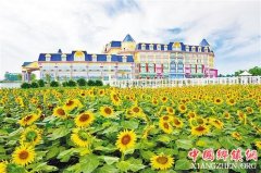 <b>冬季来南国赏花　秋冬羊城花艳有原因（图）</b>