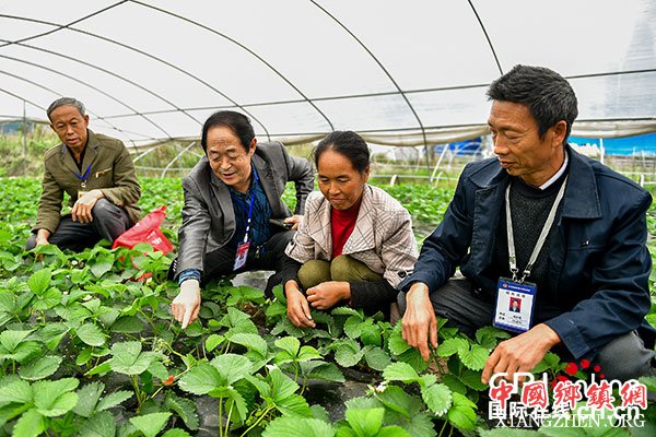 图片默认标题_fororder_2