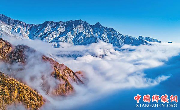 图片默认标题_fororder_2