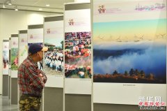 <b>云南多彩文化闪耀香港</b>