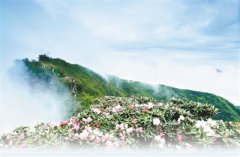 <b>千年古道绕雄山</b>