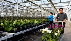 <b>扶贫产业园助农“摘穷帽”</b>