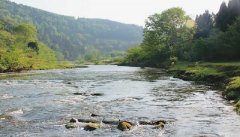 <b>掬水留香桃花河</b>