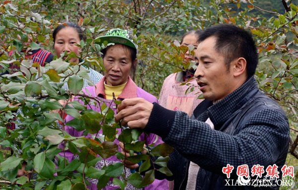 对到蓝莓基地务工的村民进行集中培训。