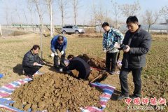 <b>濉溪县农技中心到临涣镇开展耕地质量等级调查工作</b>