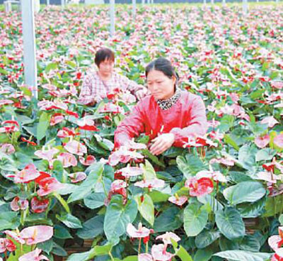 河南省永城市实施乡村振兴战略：这里的乡村热气腾腾