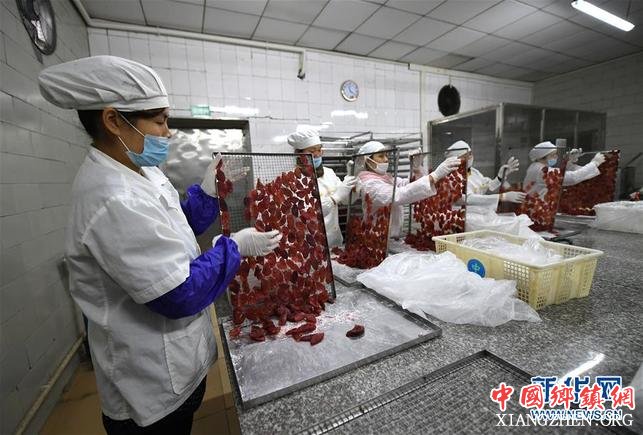 【焦点图】柳州：百香果变“百宝果” 撬动生态大产业