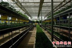 <b>西安现代都市农业 让百姓脱贫致富吃上“定心丸”</b>