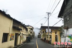 <b>浙江龙泉：打好产业富农牌 精准扶贫促振兴</b>