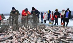 <b>黑龙江镜泊湖冬季捕鱼开网作业</b>