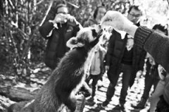 <b>普洱跨年狂欢节玩场多到不想走</b>