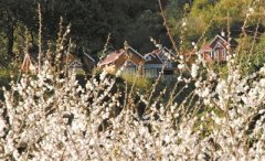 <b>元旦小长假 自驾赏缤纷</b>